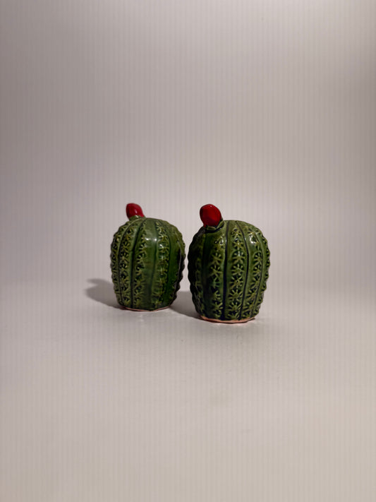 Cactus Salt + Pepper Shakers