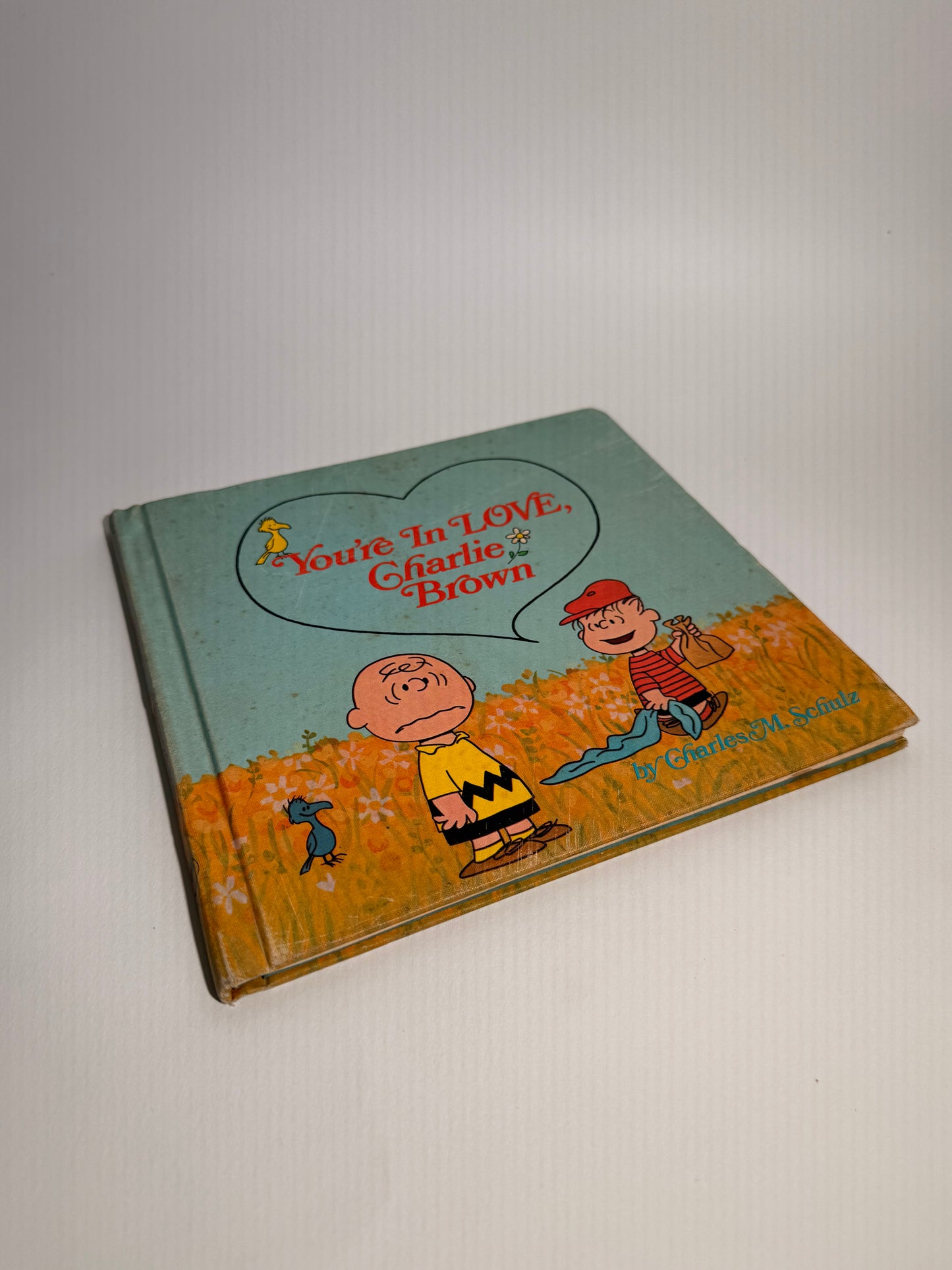 You're In Love Charlie Brown Book