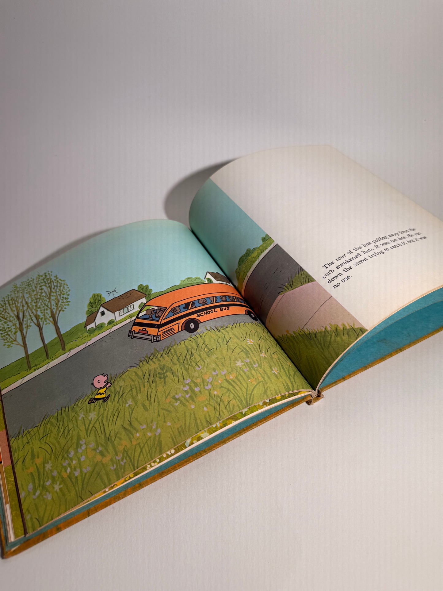 You're In Love Charlie Brown Book