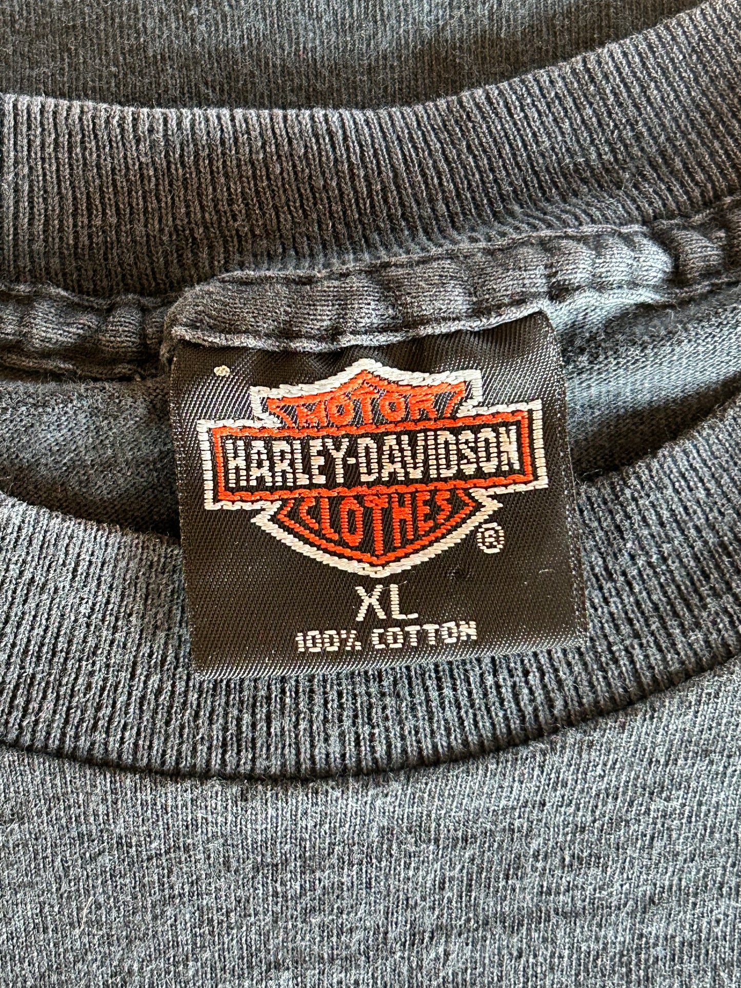 Ride Like The Wind Harley Davidson Tee