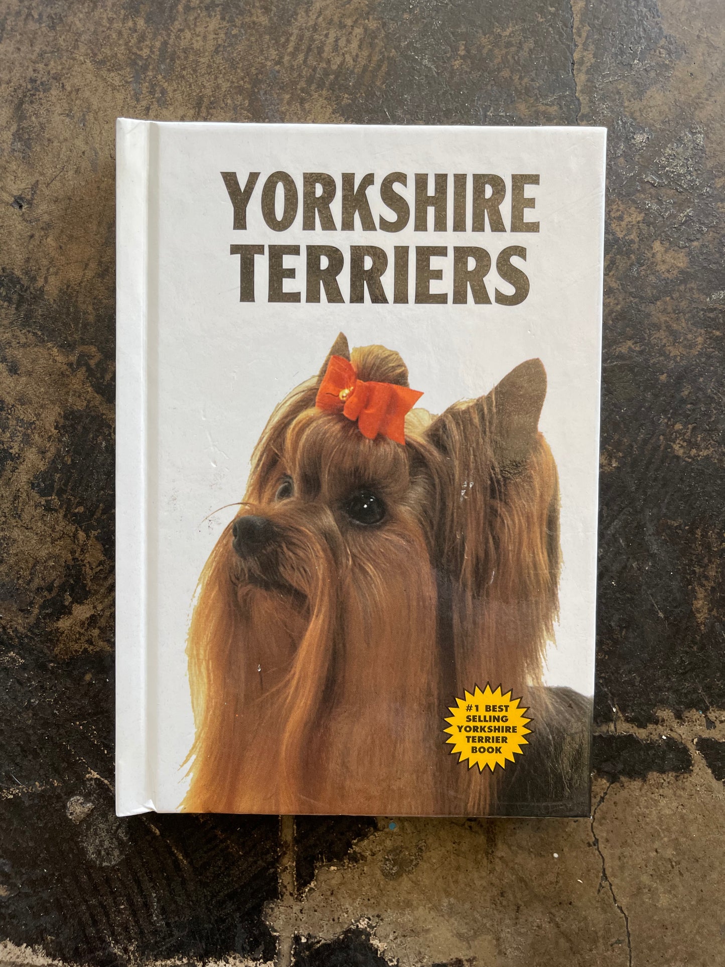 Yorkshire Terriers