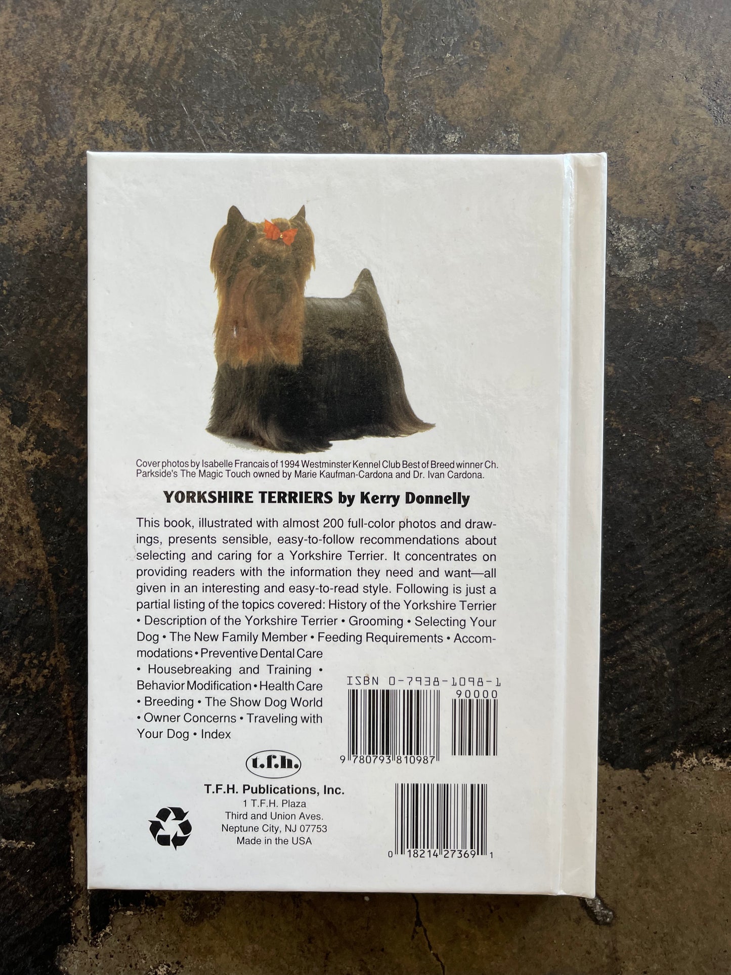 Yorkshire Terriers