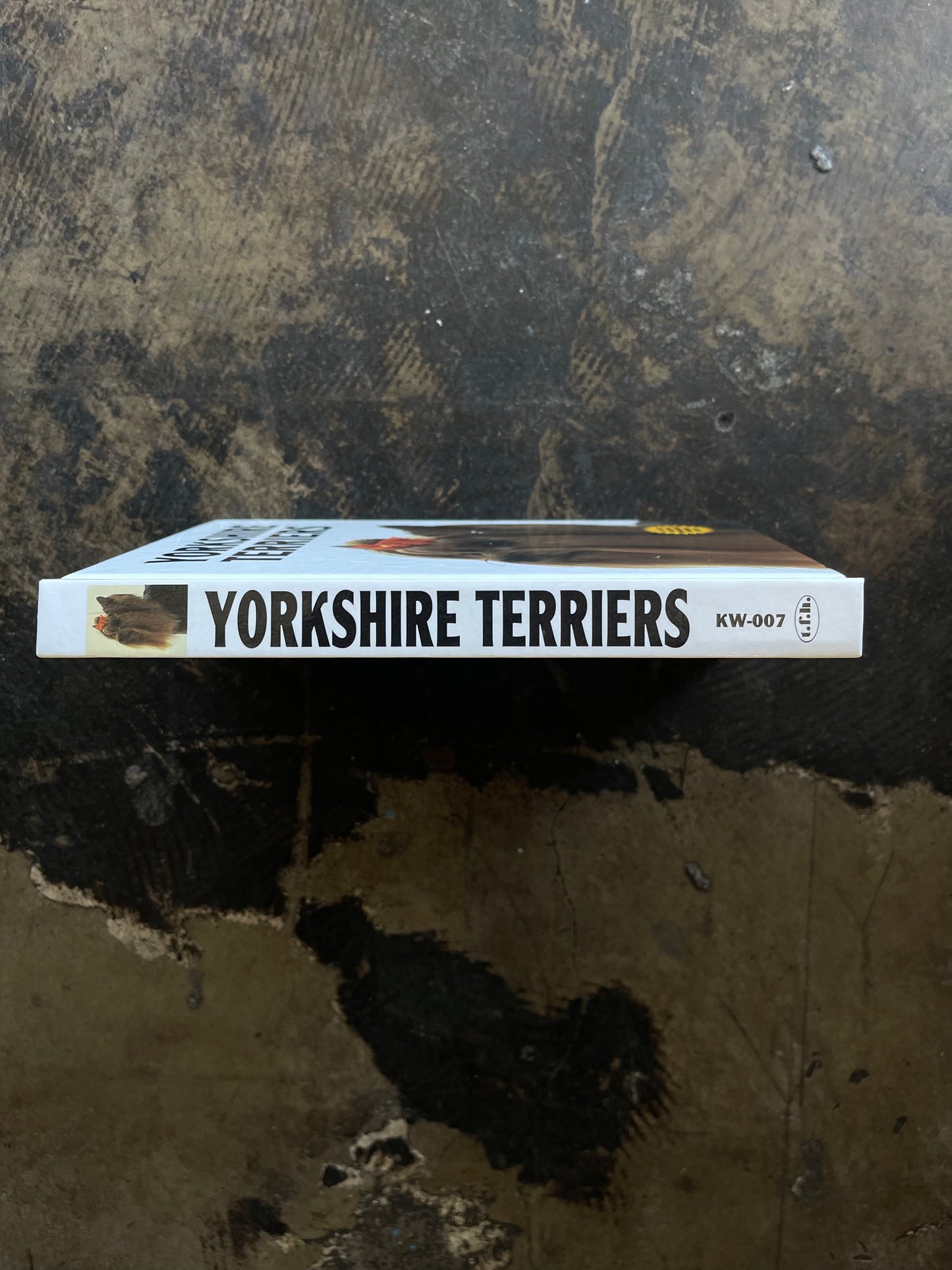Yorkshire Terriers