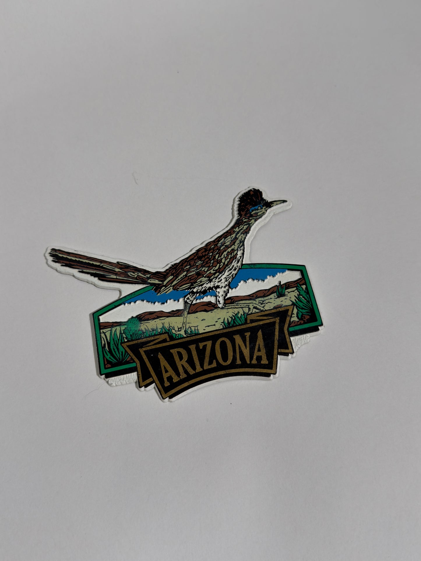 Arizona Road Runner Magnet