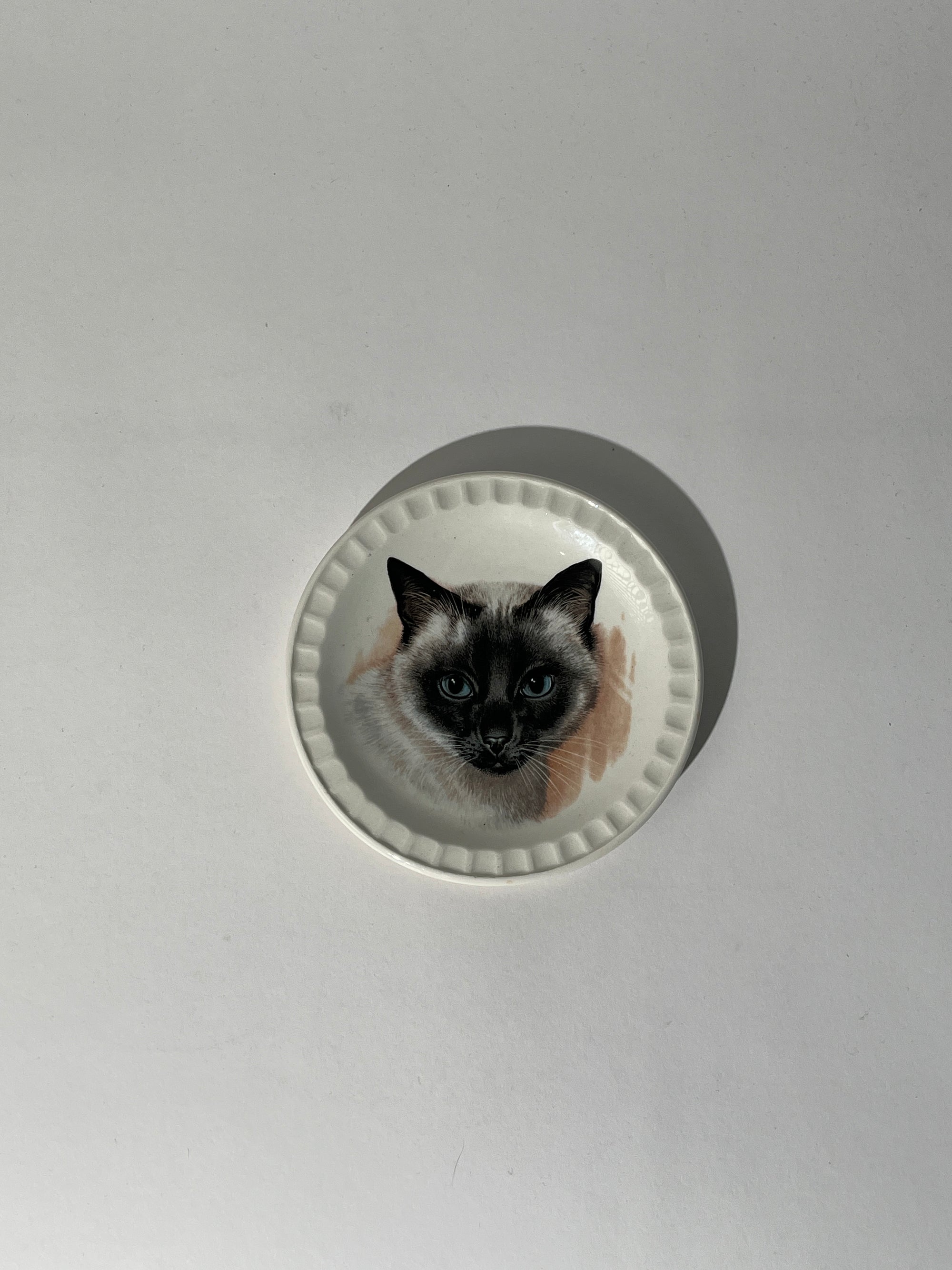 Ceramic Cat Dish