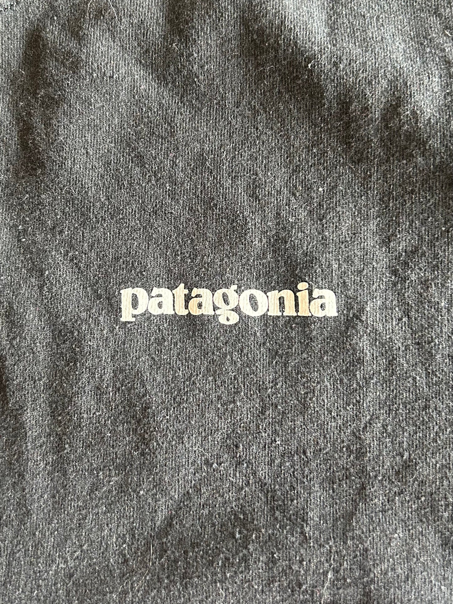 Long Sleeve Black Patagonia Tee