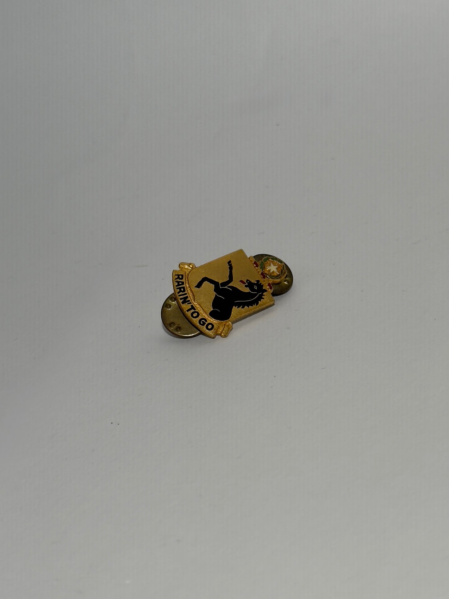 Rarin' To Go Brass Pin