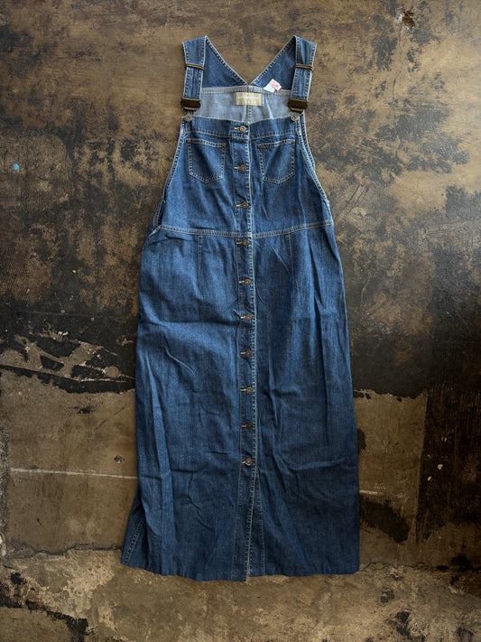 Liz Denim Button Front Dress