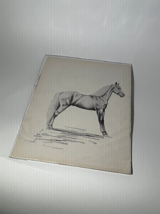 Black + White Horse Print