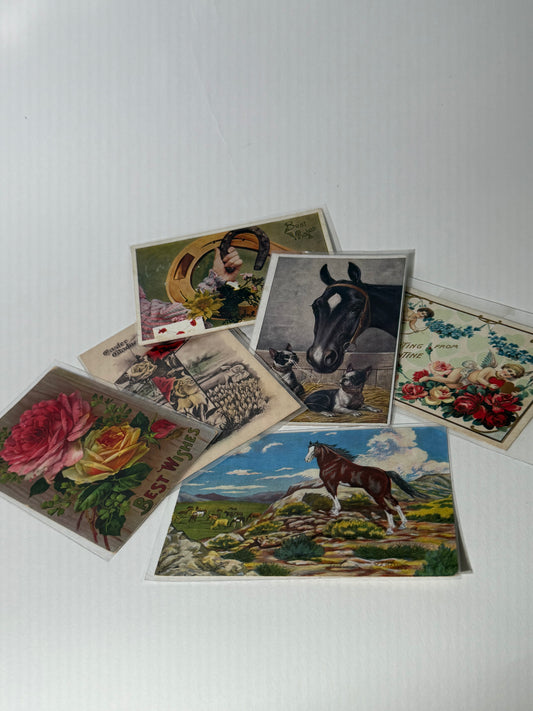 Vintage Postcards