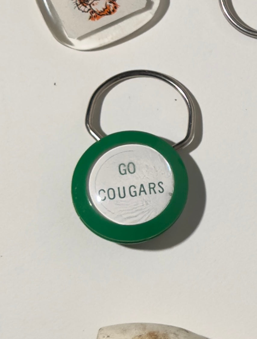 Bryan Adams High School Green Key Ring