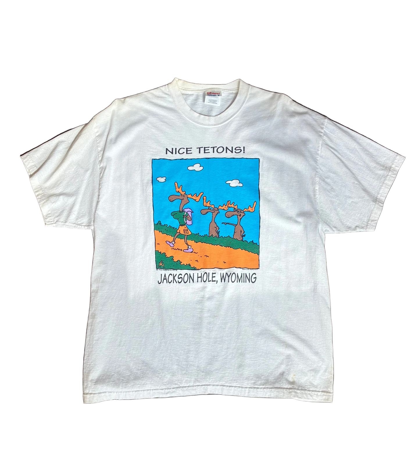 White Nice Tetons Tee