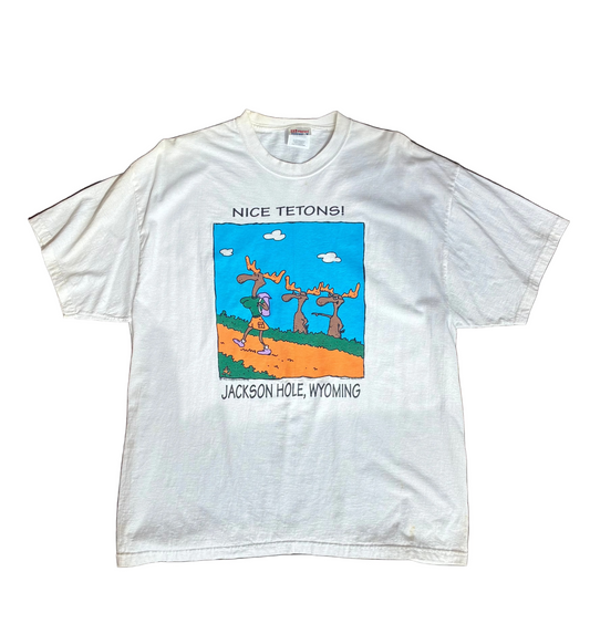 White Nice Tetons Tee