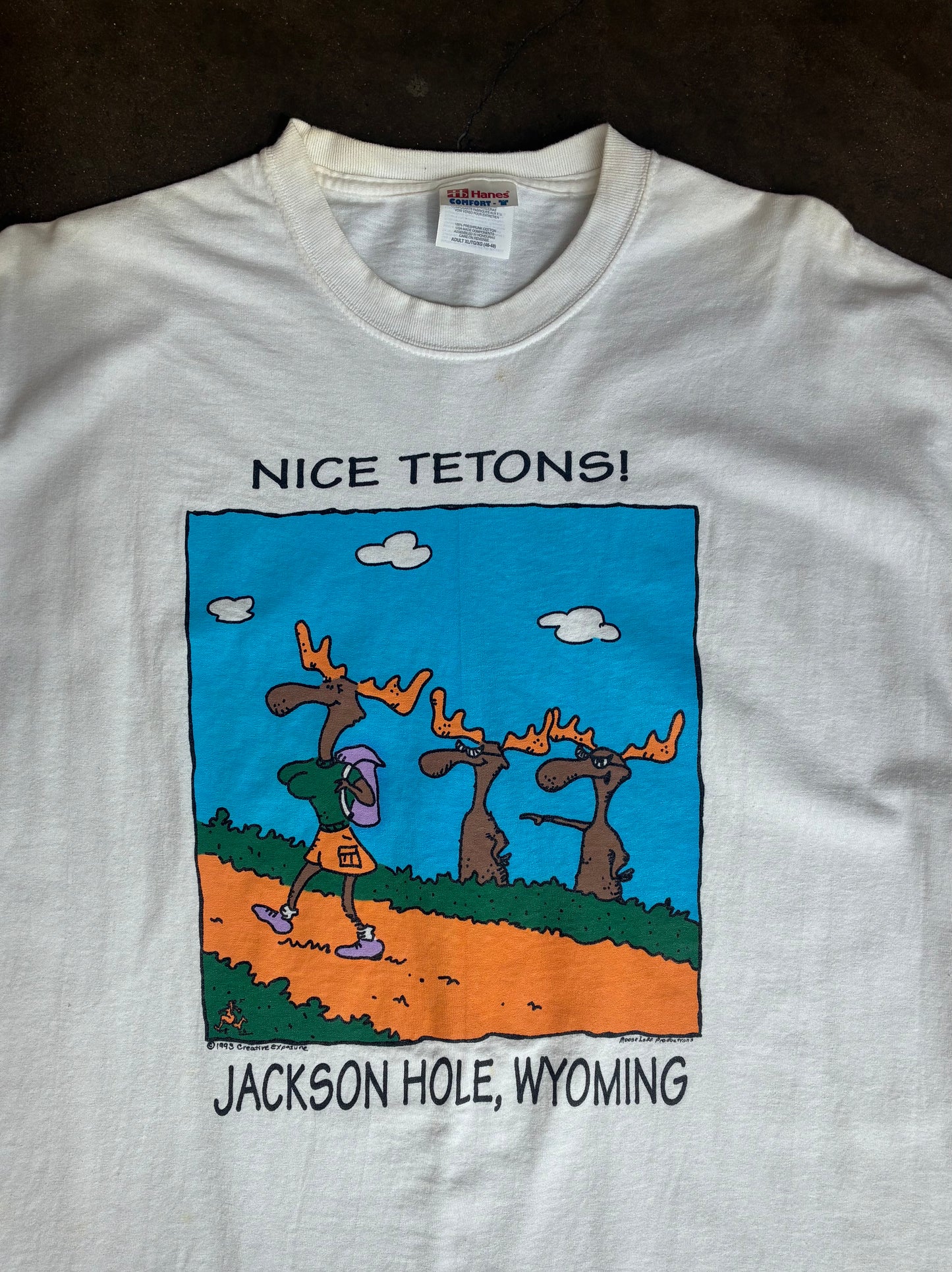 White Nice Tetons Tee
