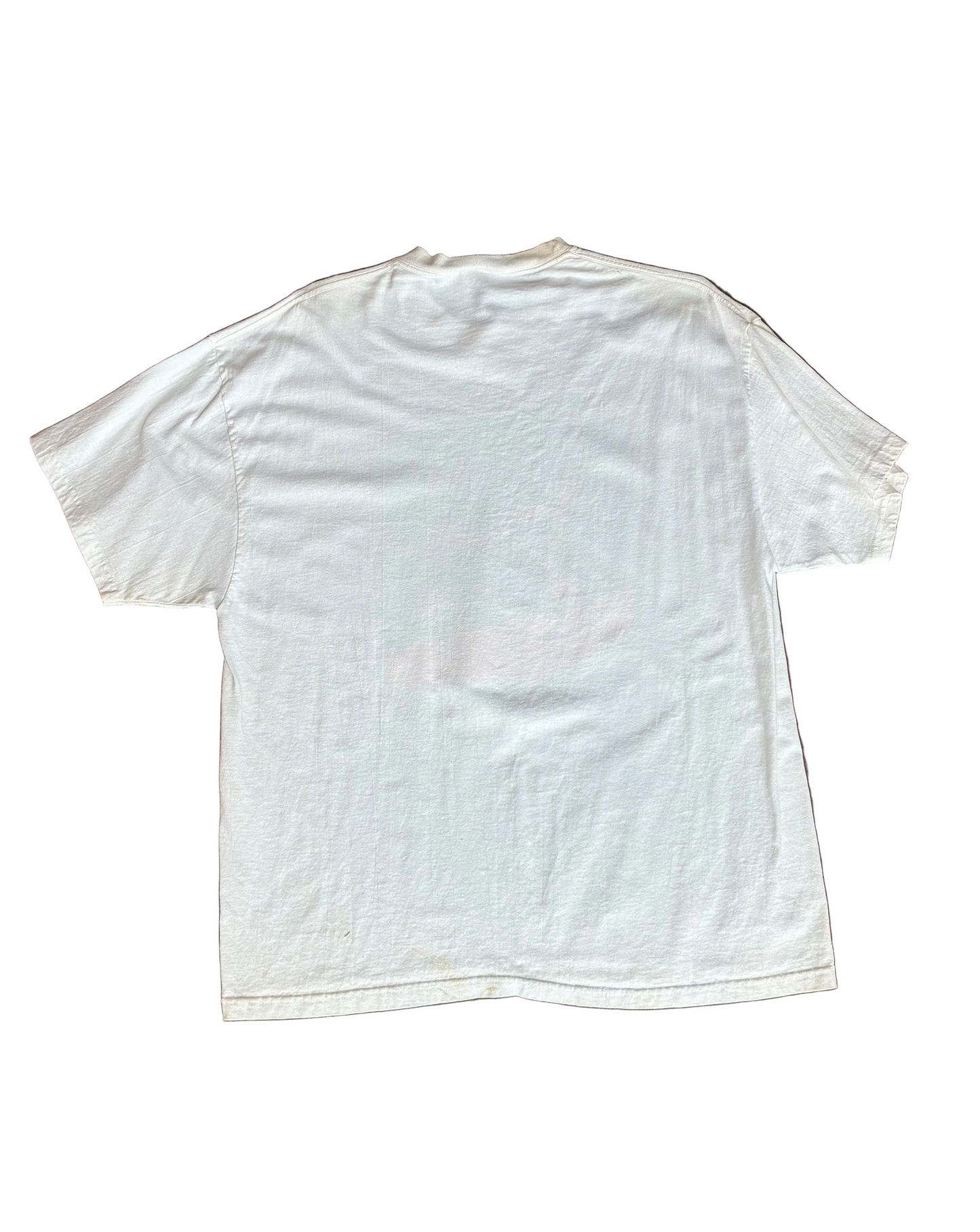 White Nice Tetons Tee