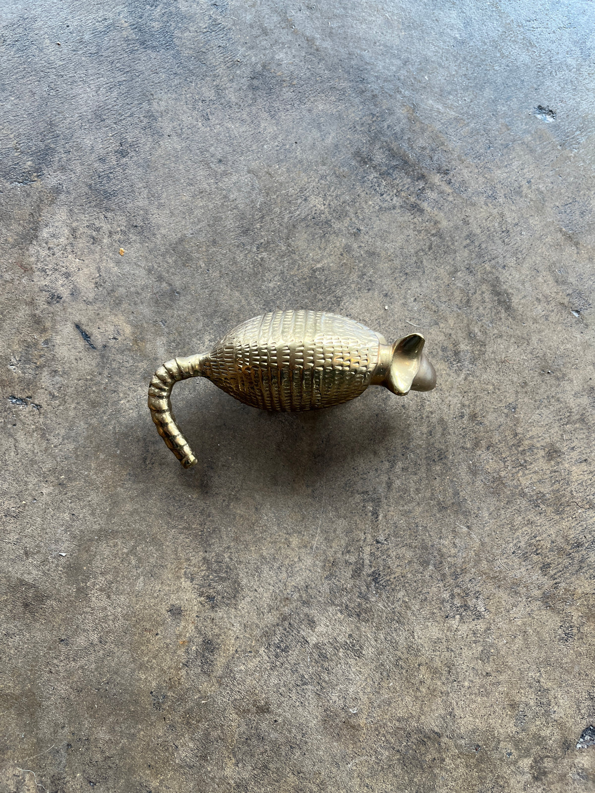 Brass Armadillo Paperweight