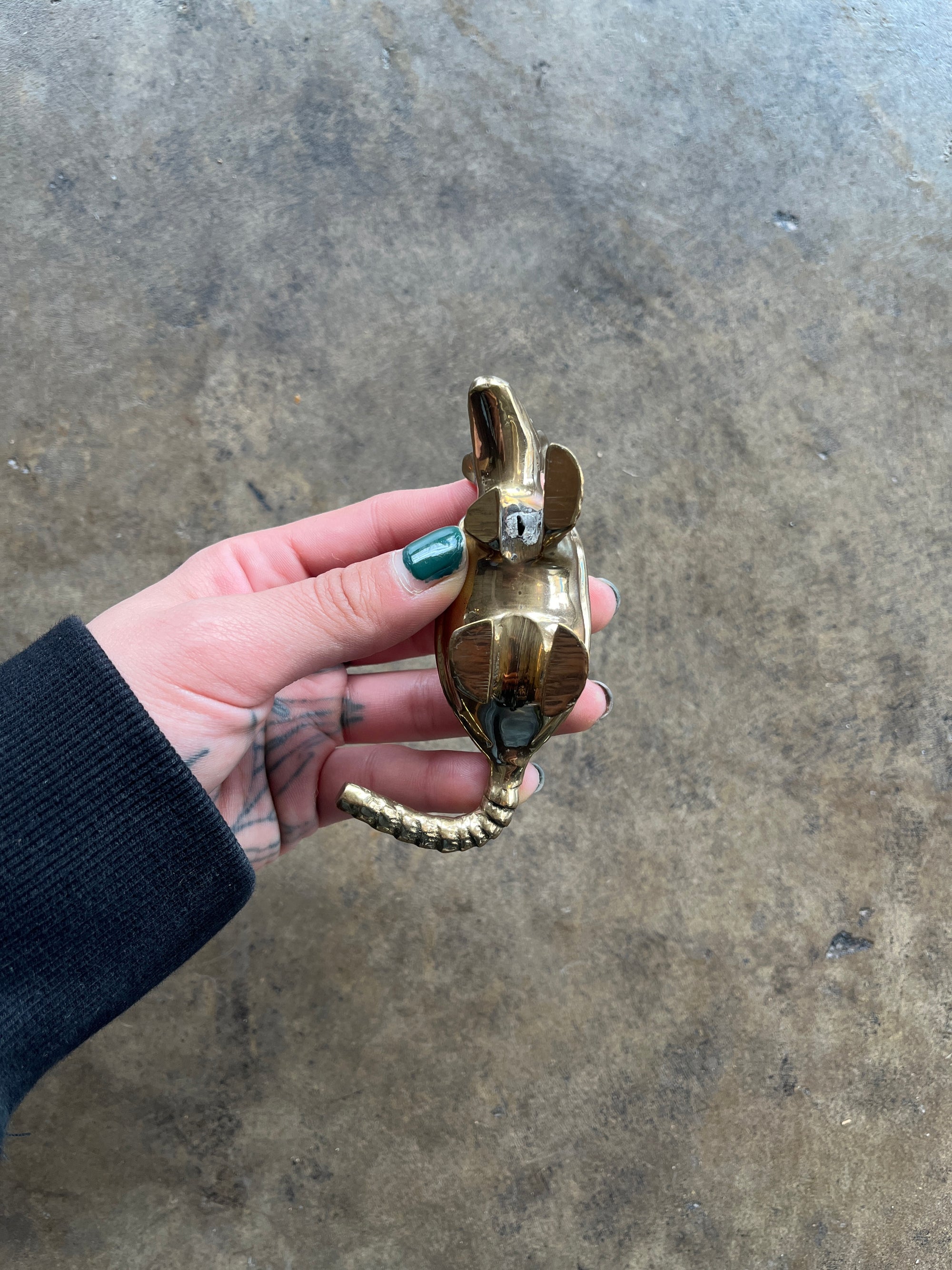 Brass Armadillo Paperweight