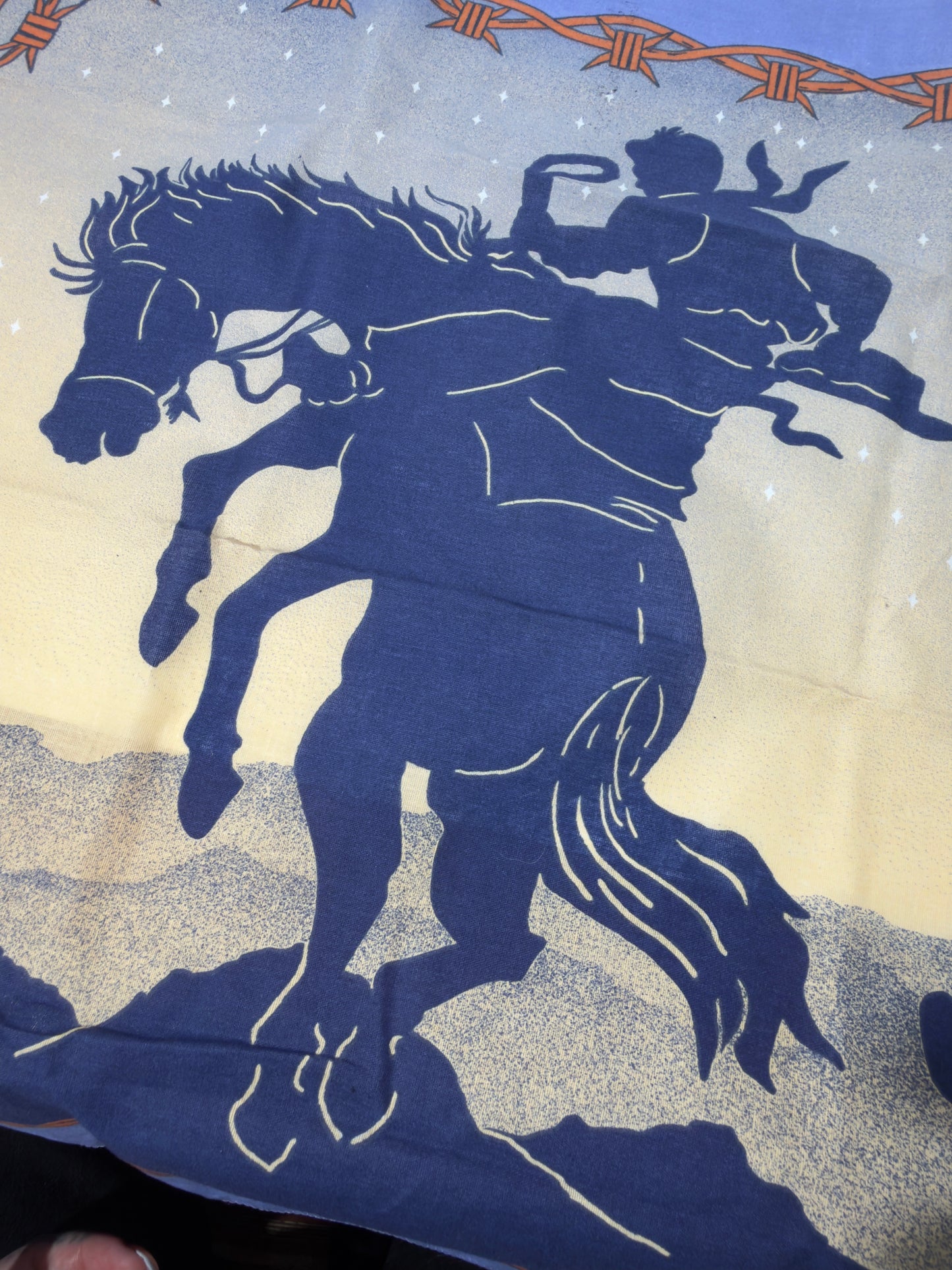 Barbed Wire Bronco Bandana