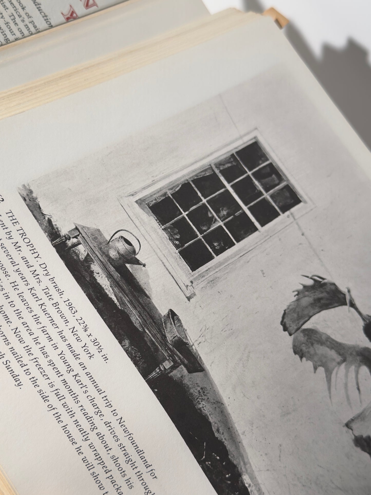 Andrew Wyeth Book