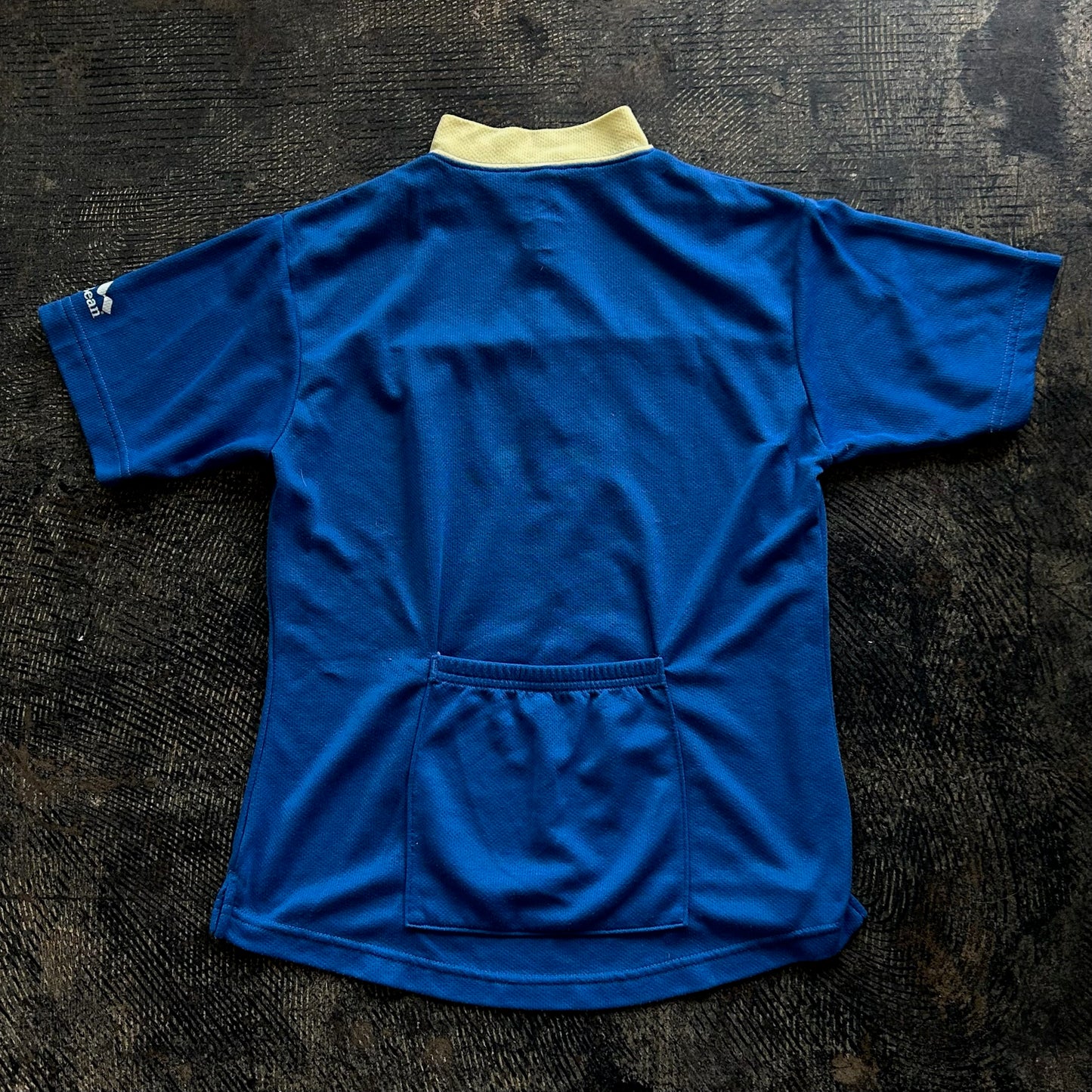 Blue L.L. Bean Cycling Shirt