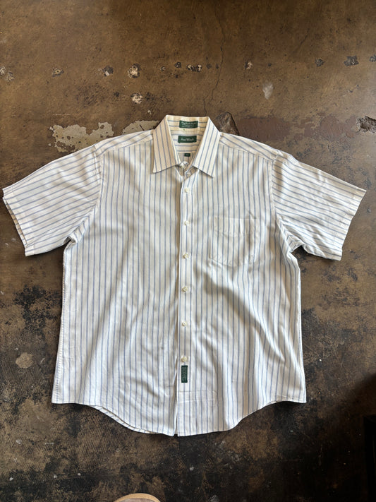 Blue Striped Short Sleeve Button Down