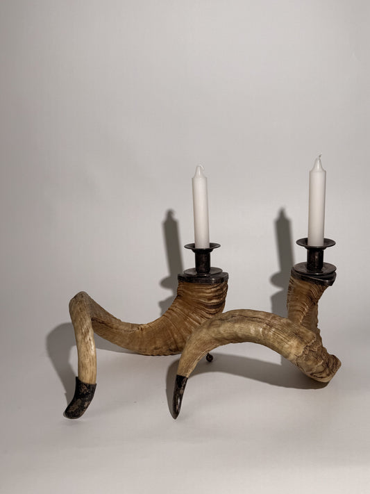 Ram Horn Candlestick Holders