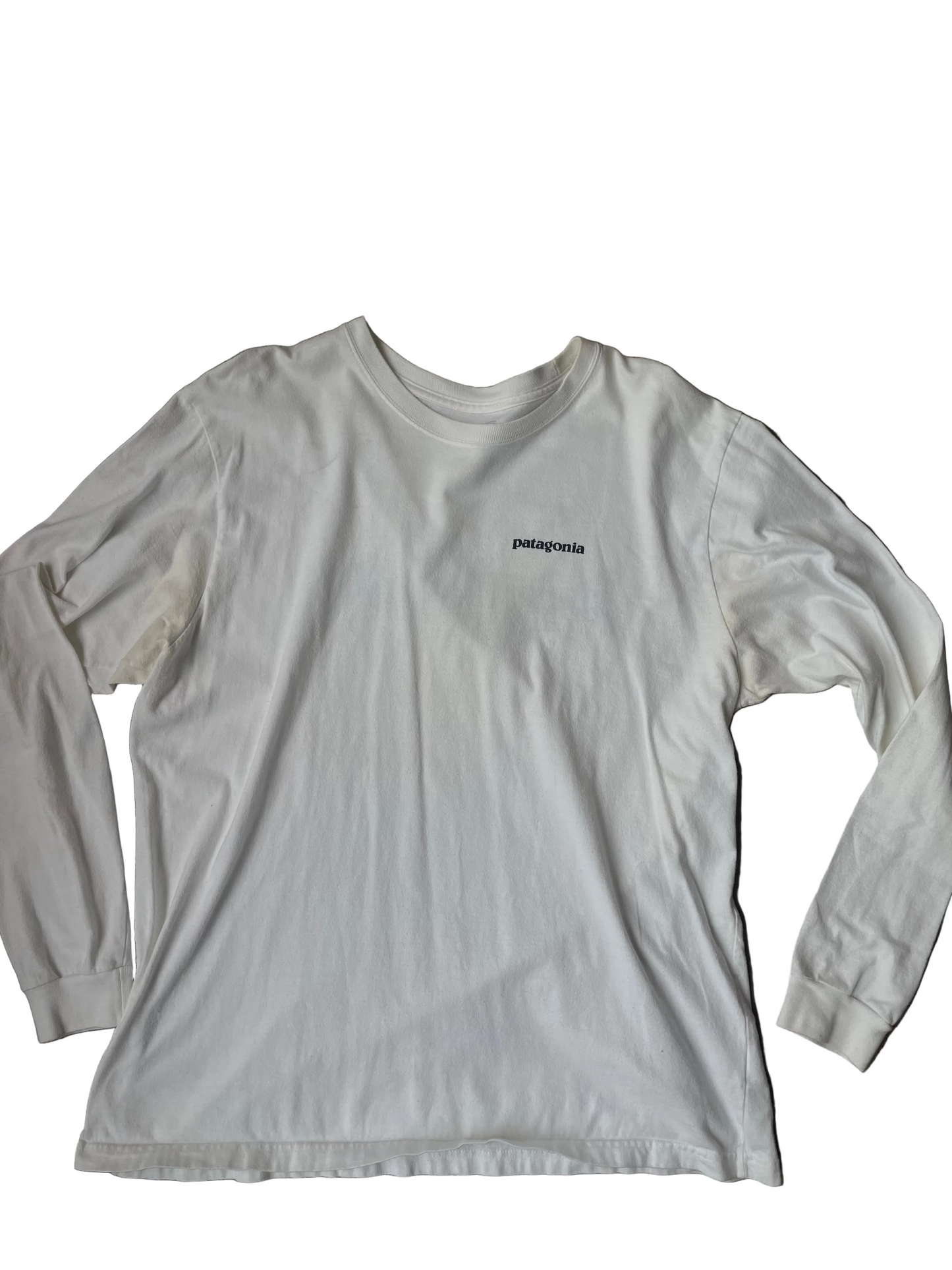 White Long Sleeve Patagonia Tee