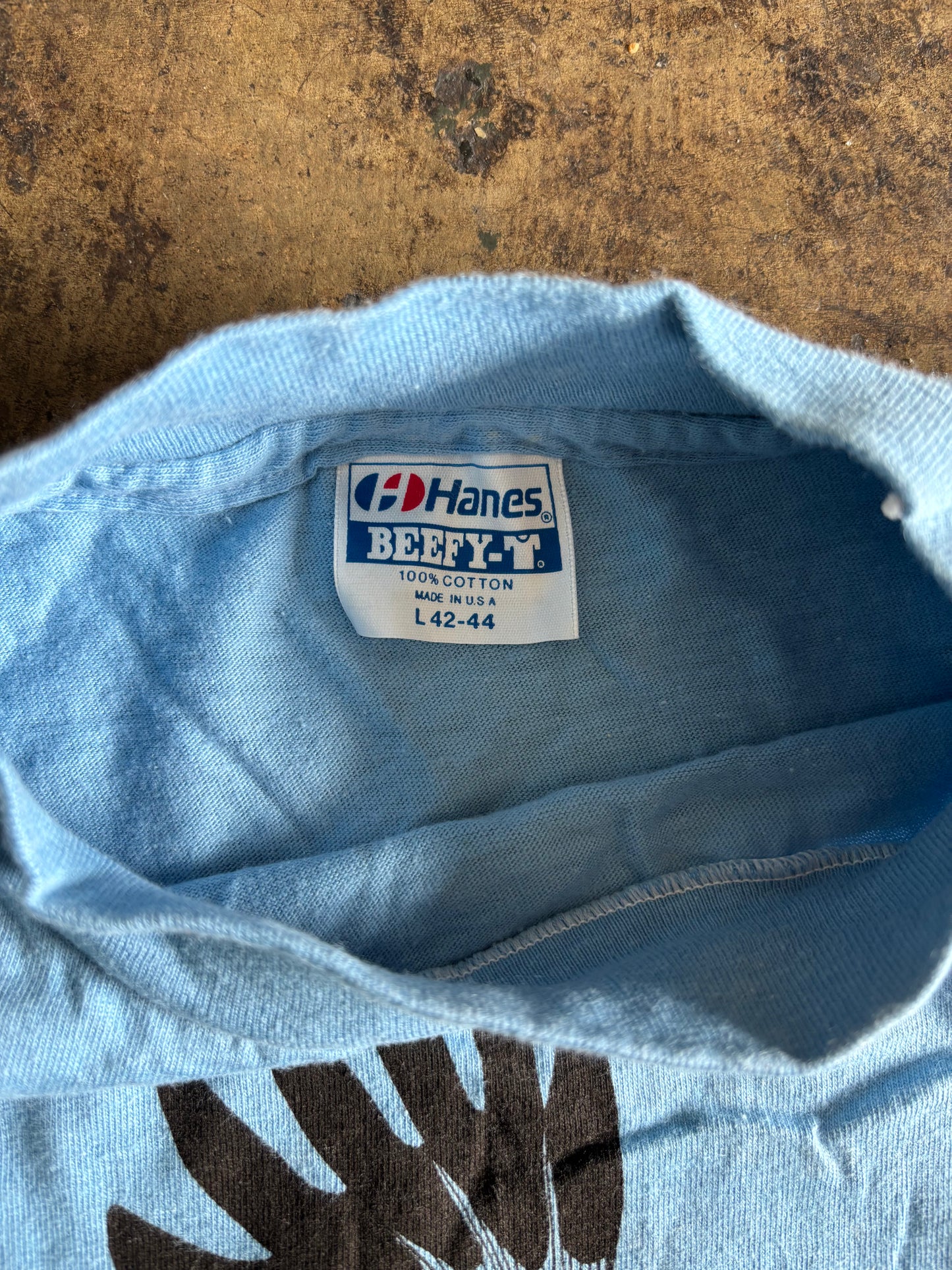 Light Blue Bald Eagle Graphic Tee