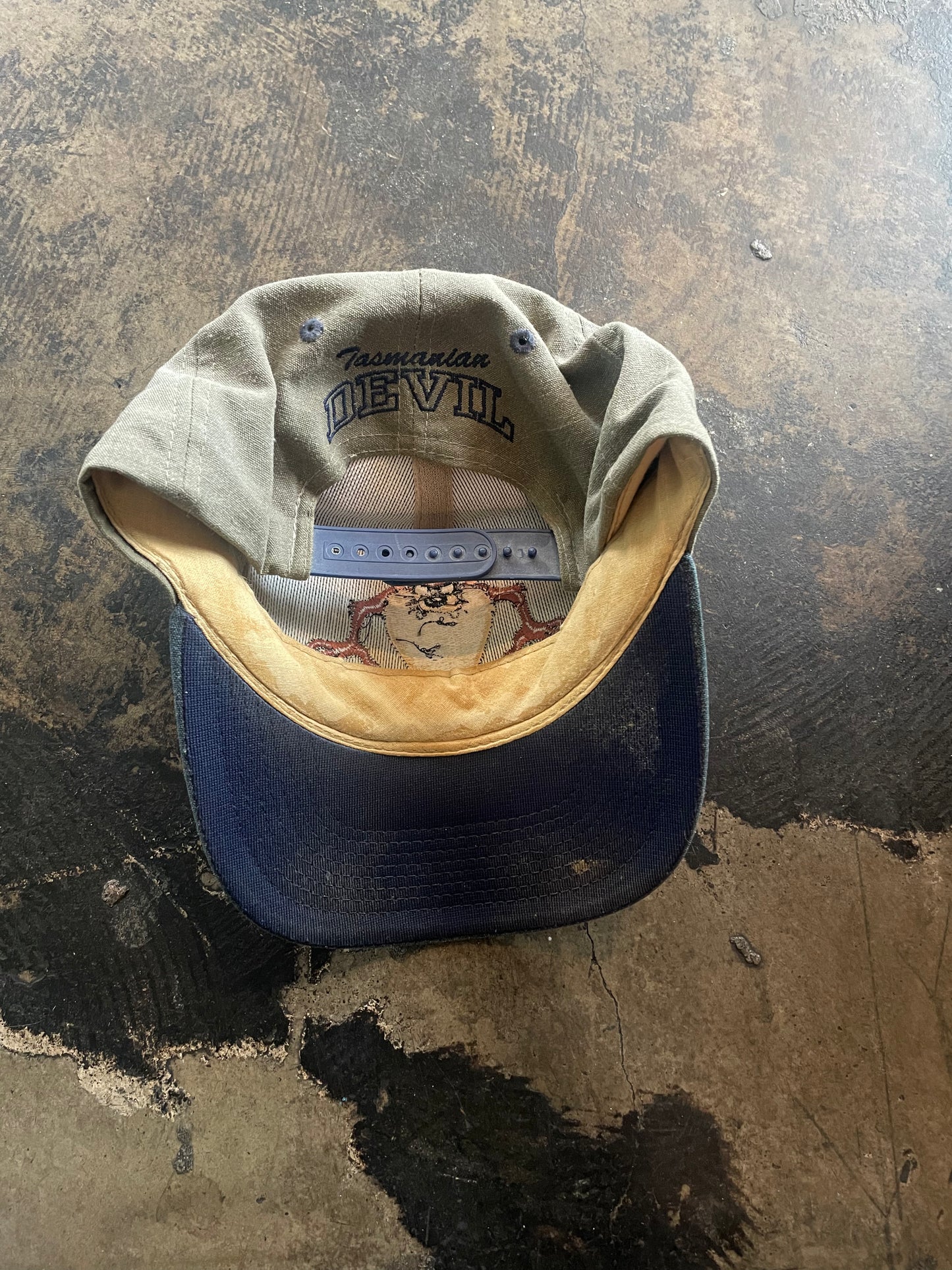 Tasmanian Devil Snapback