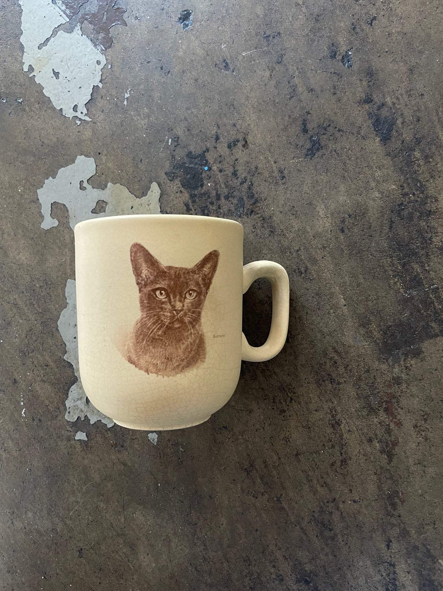 Burmese Cat Ceramic Mug