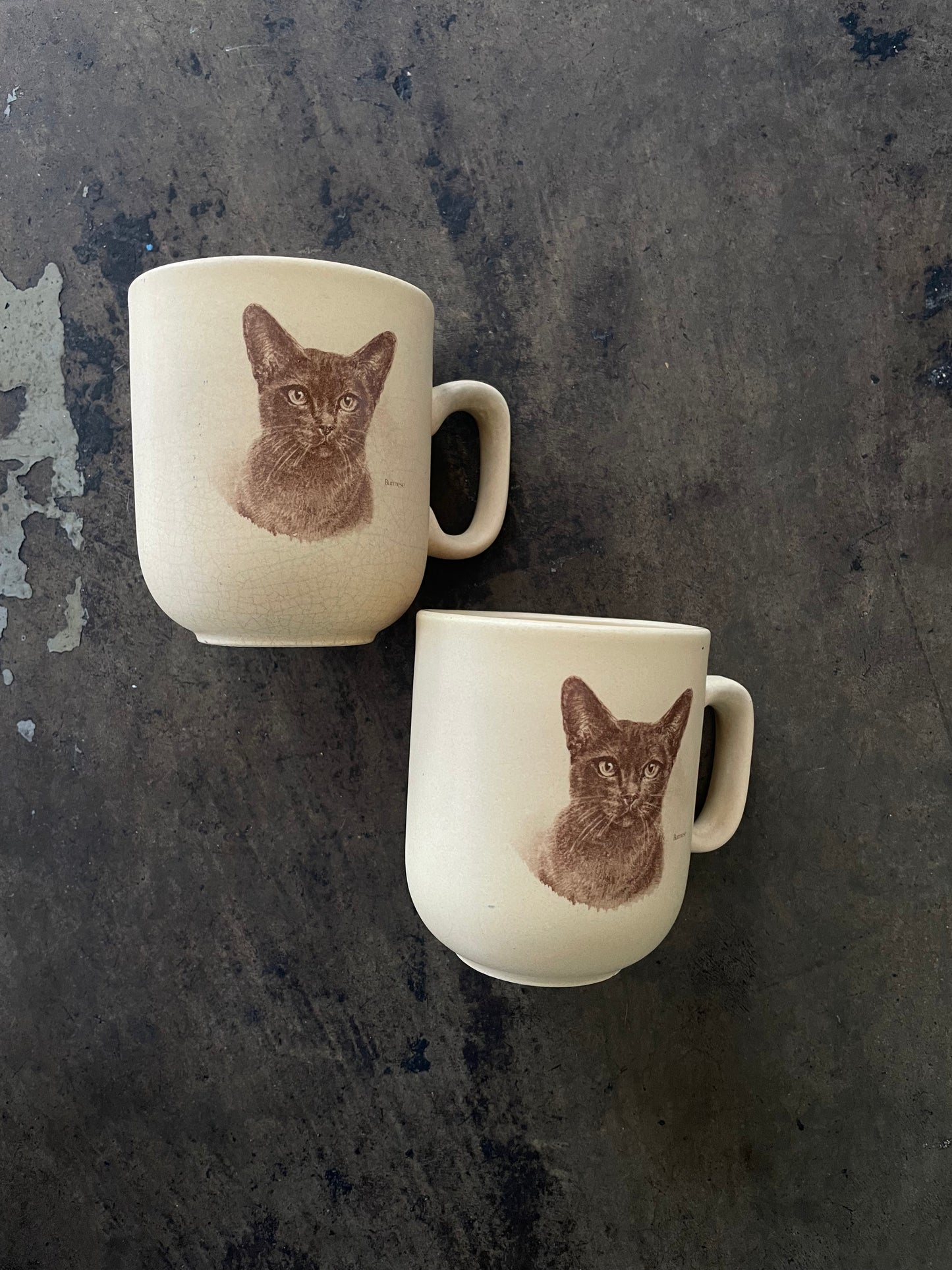 Burmese Cat Ceramic Mug