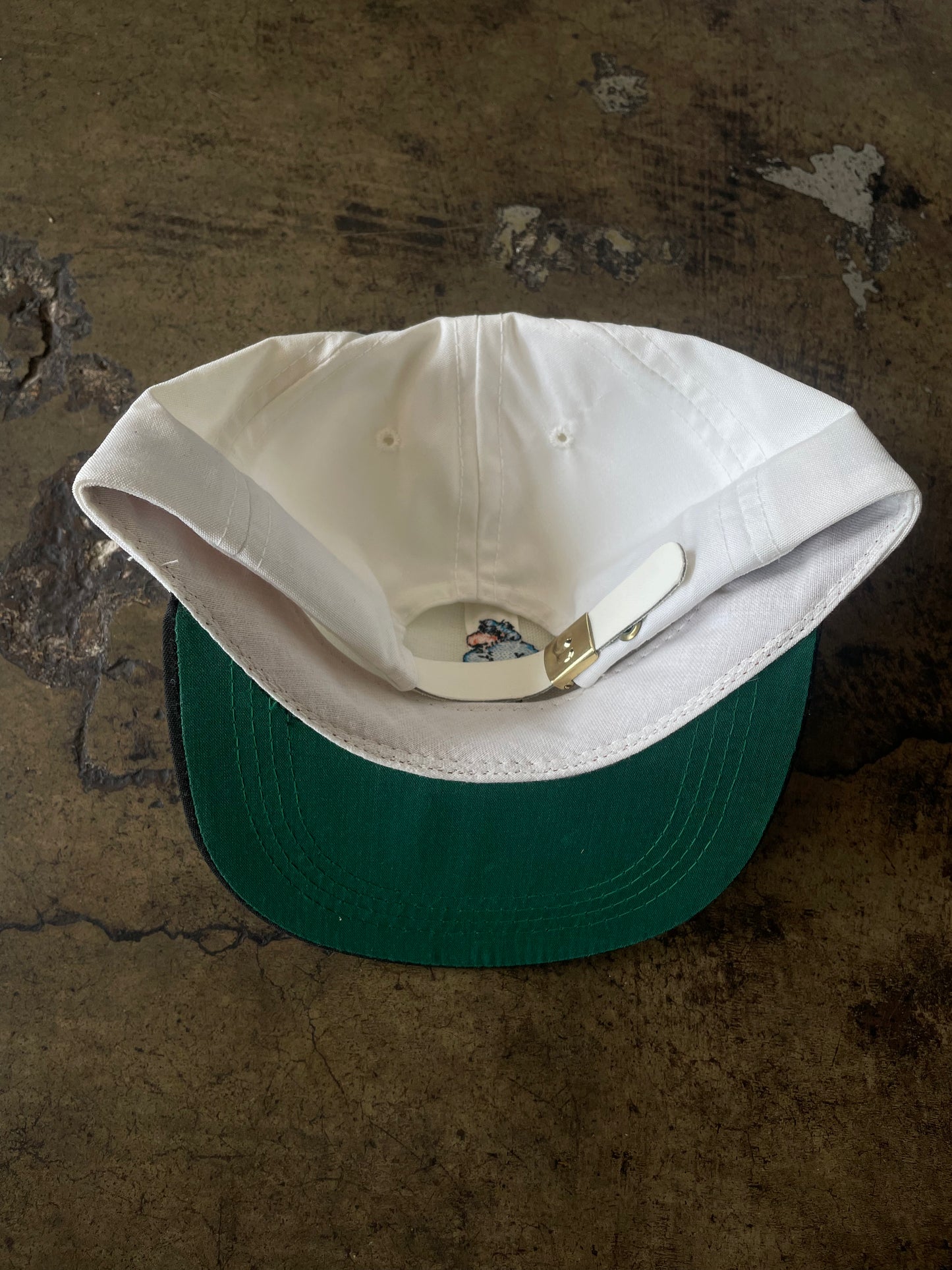 Dallas Morning News Hat