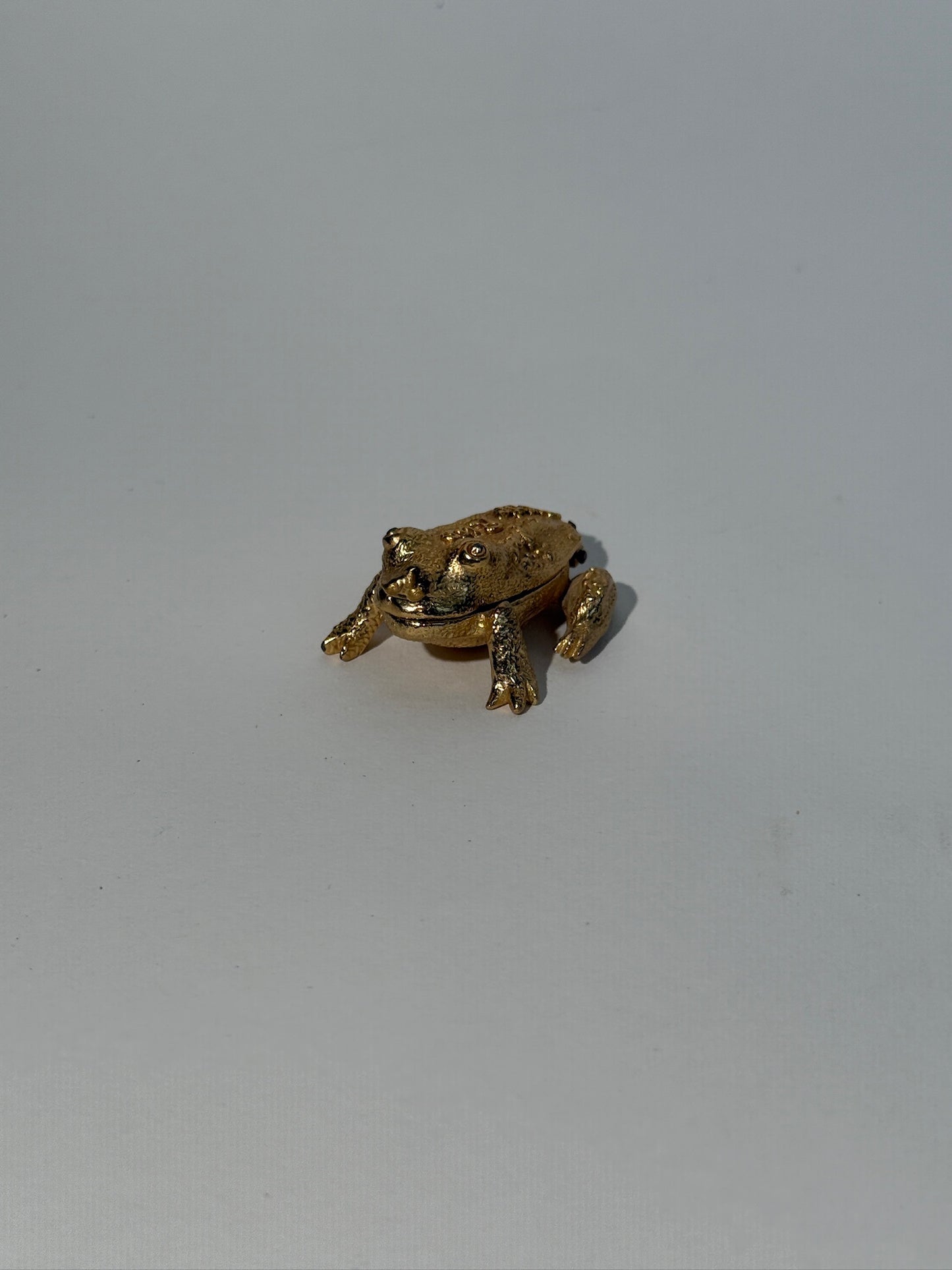 Brass Gold Toad Case