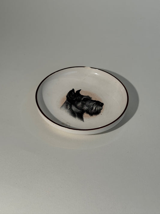 Small Schnauzer Dish