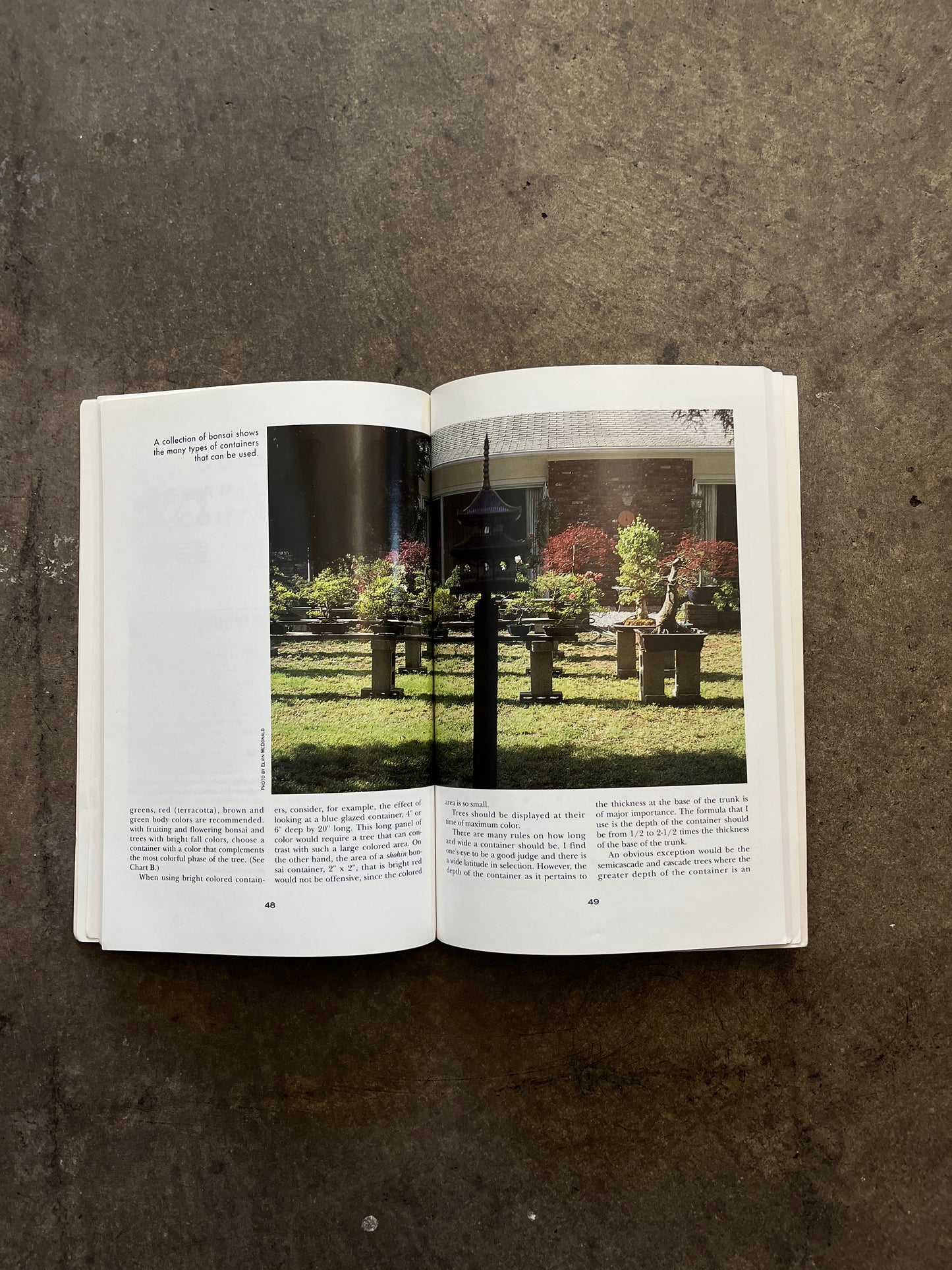 "Brooklyn Botanic Garden: Indoor Bonsai" Book