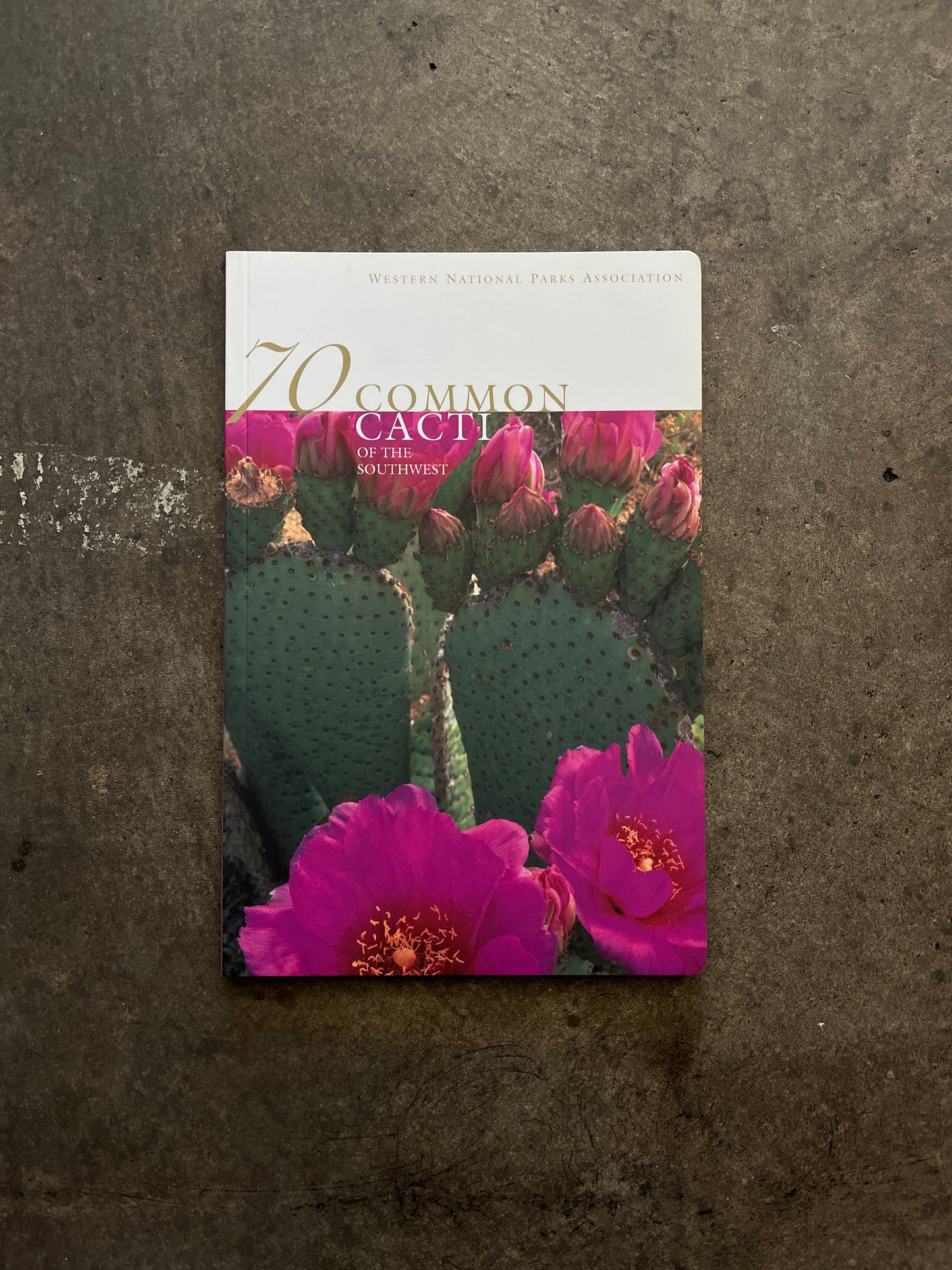 "70 Common Cacti of the Southwest" Book
