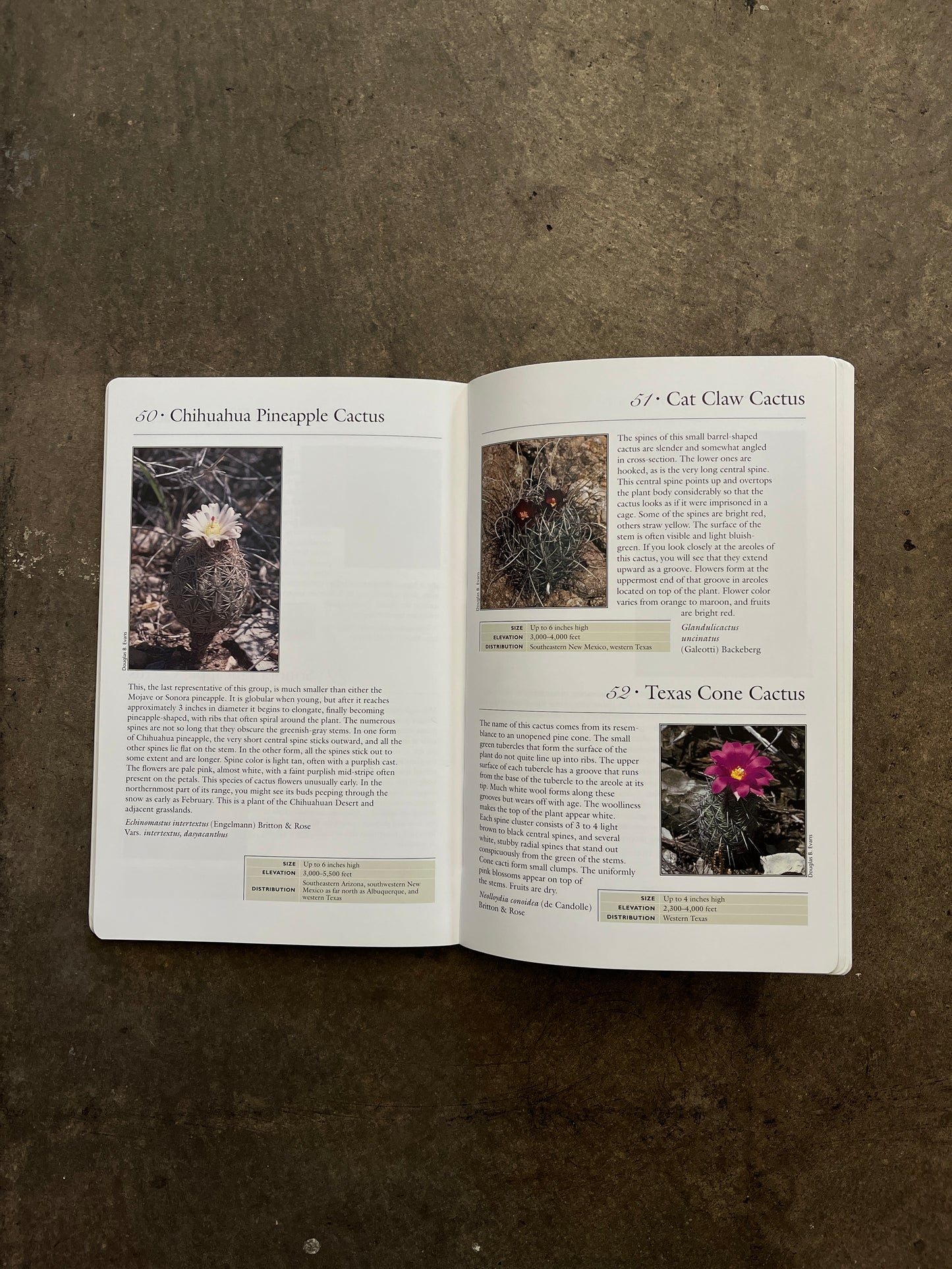 "70 Common Cacti of the Southwest" Book
