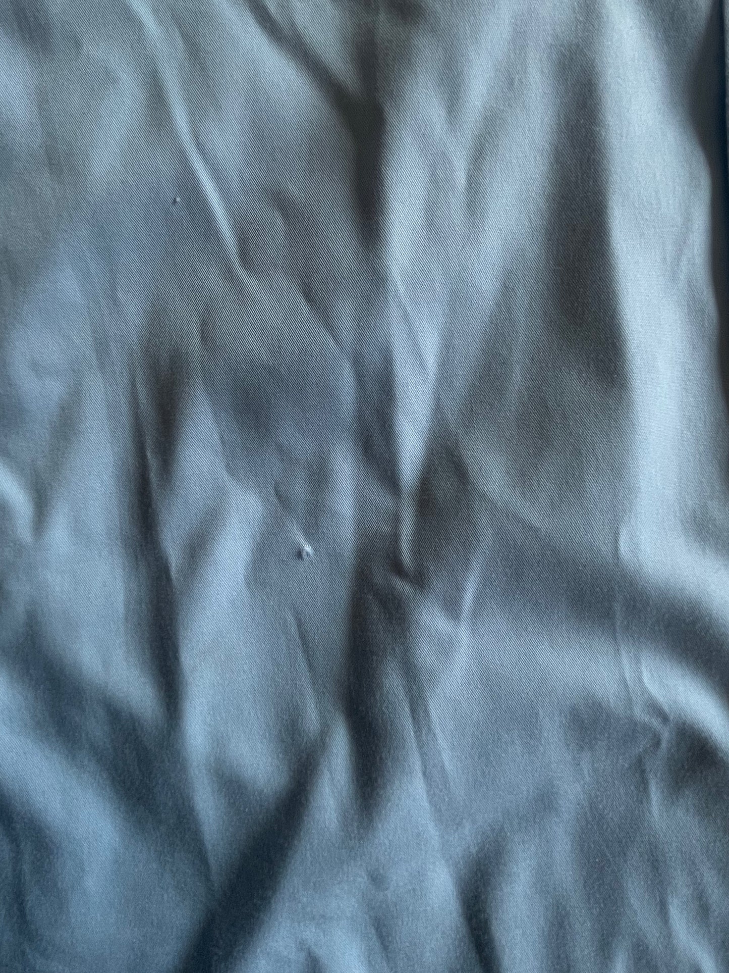 LL Bean Baby Blue Button Up