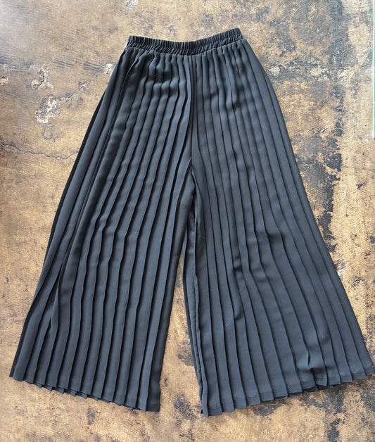 Sheer Black Pleated Pants