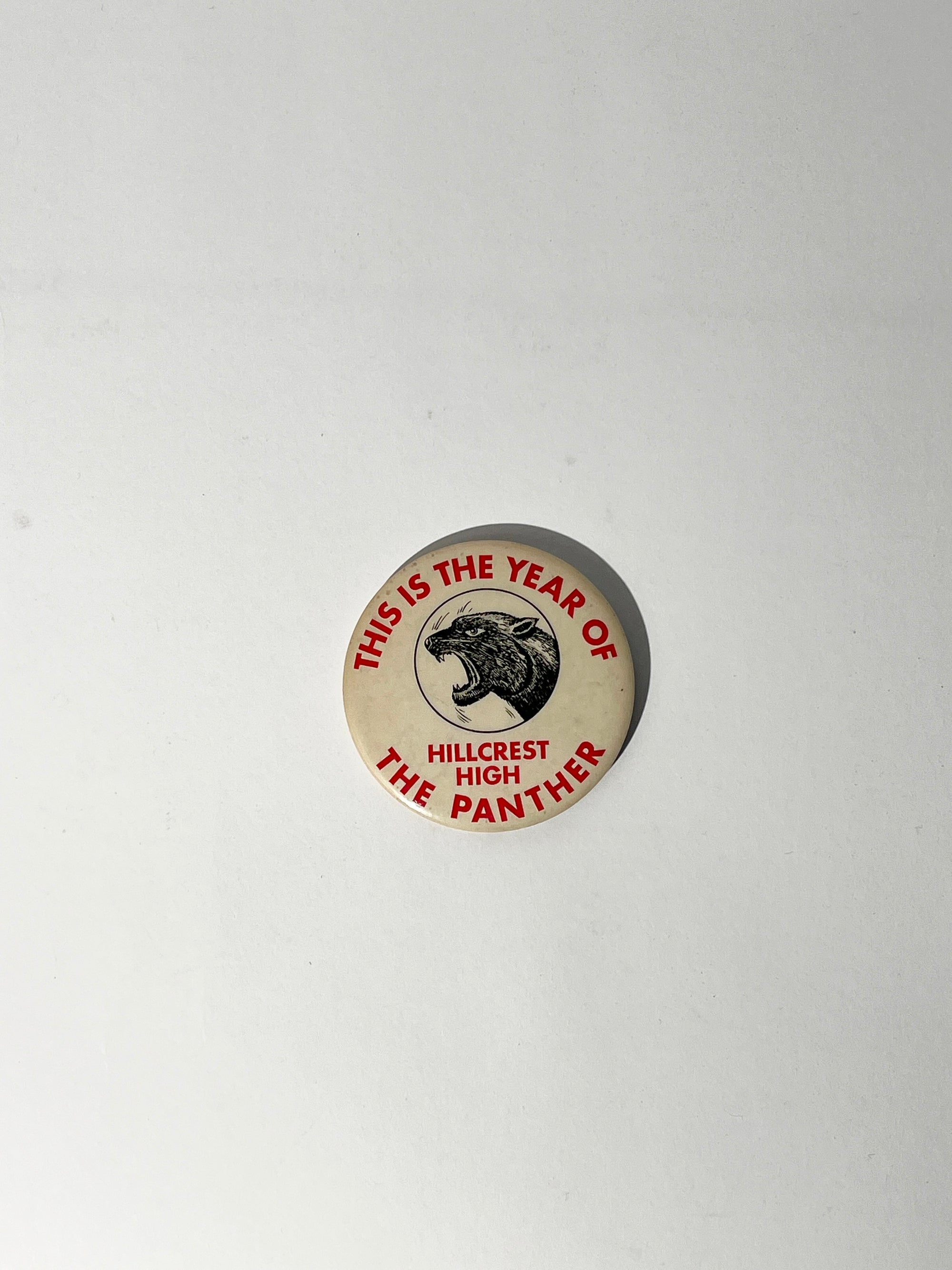 Hillcrest High "The Year of the Panther" Pin