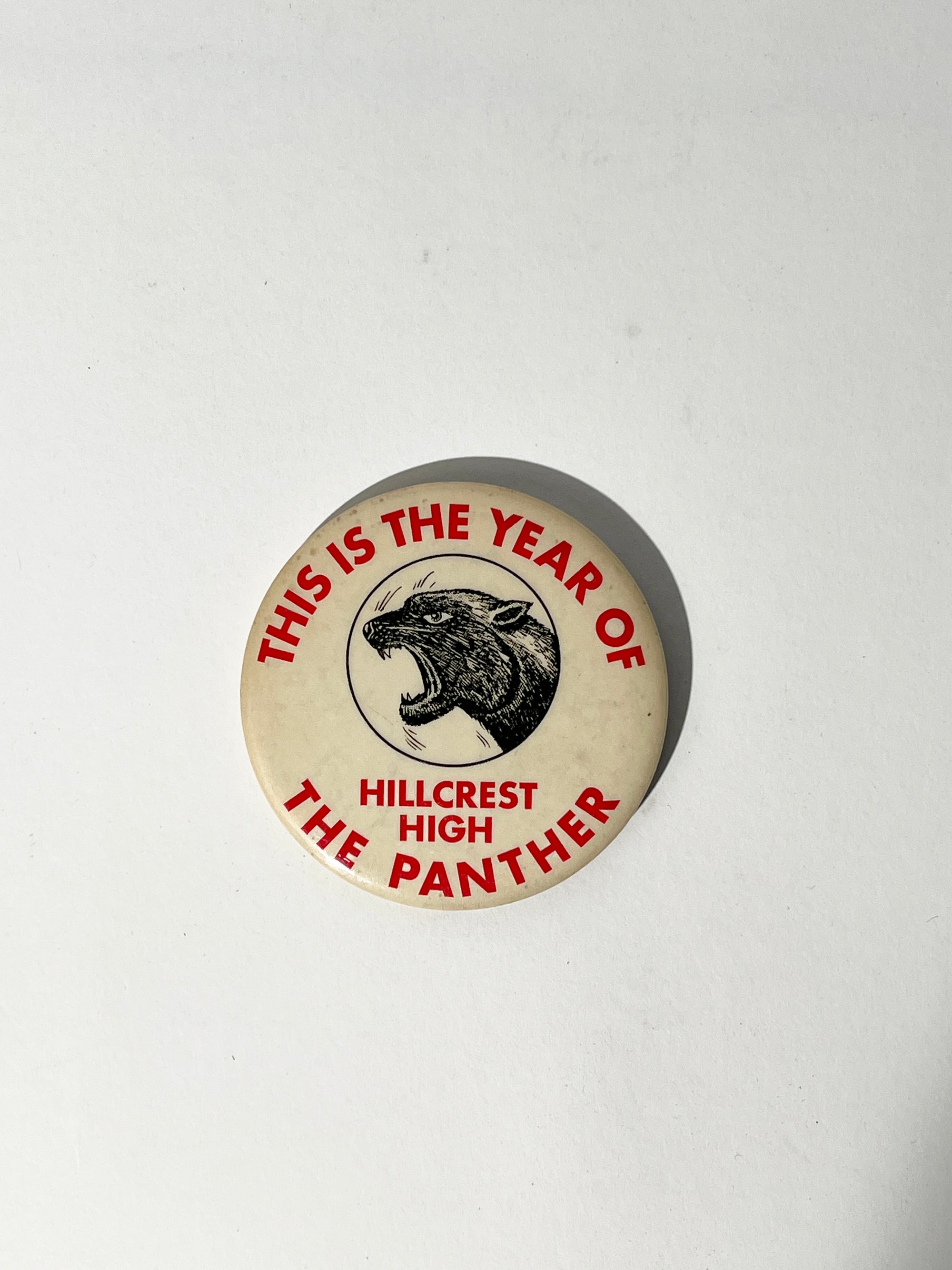 Hillcrest High "The Year of the Panther" Pin