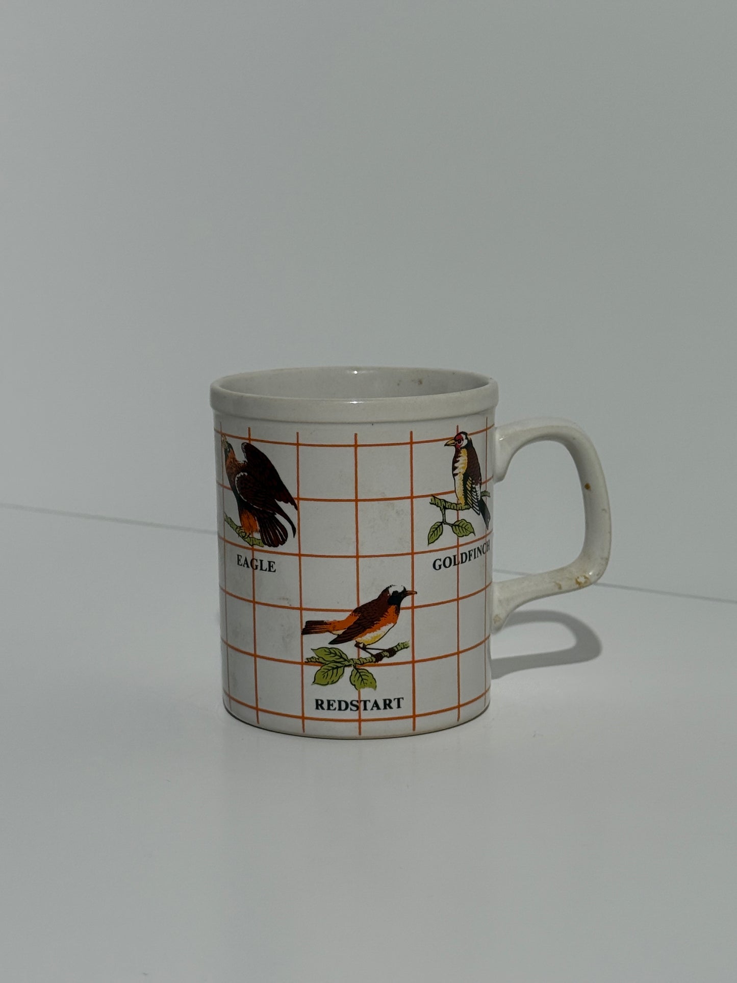 Regional US Native Birds Mug
