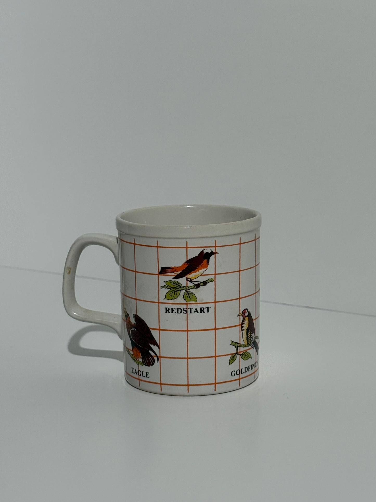 Regional US Native Birds Mug