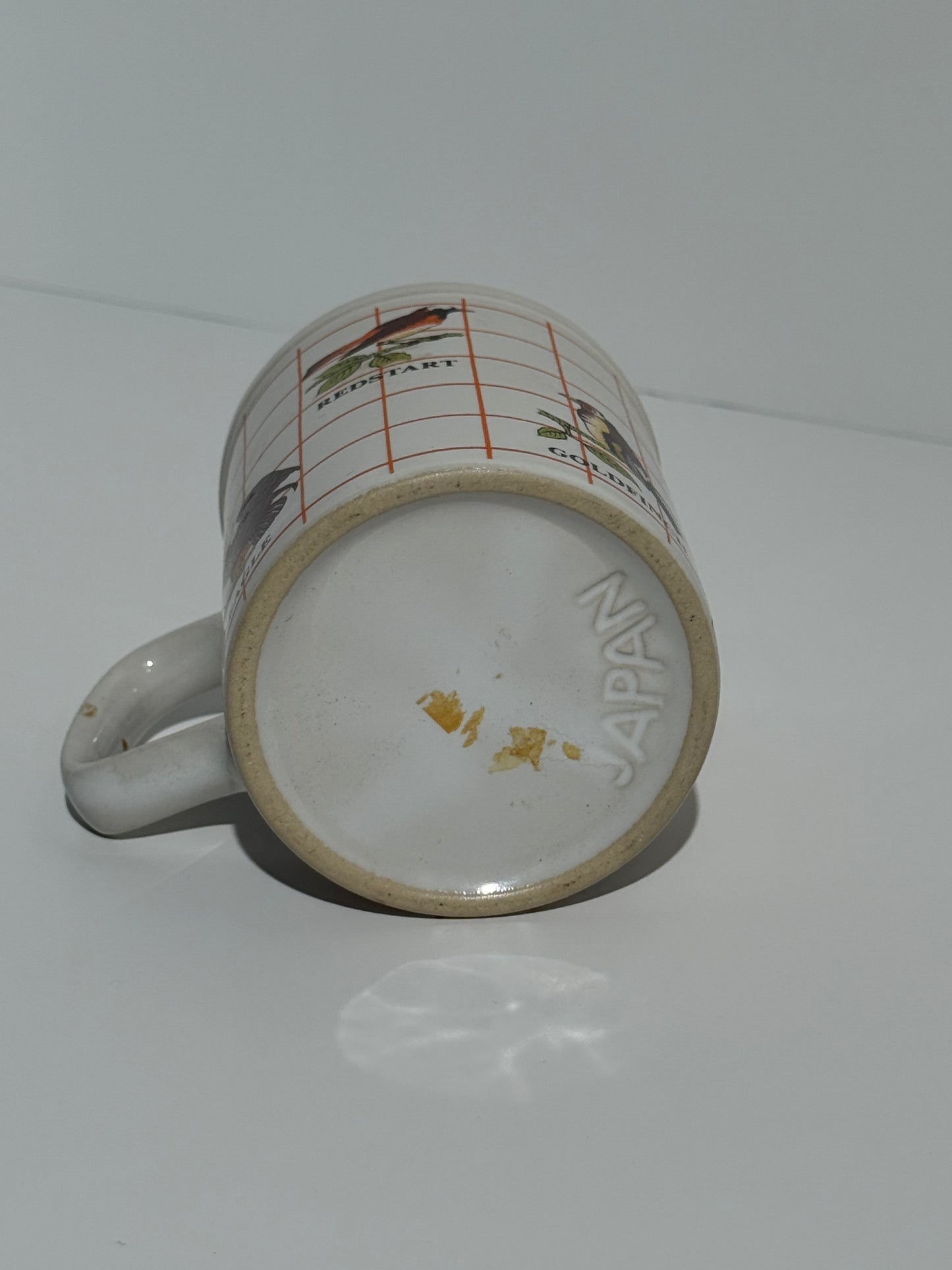 Regional US Native Birds Mug