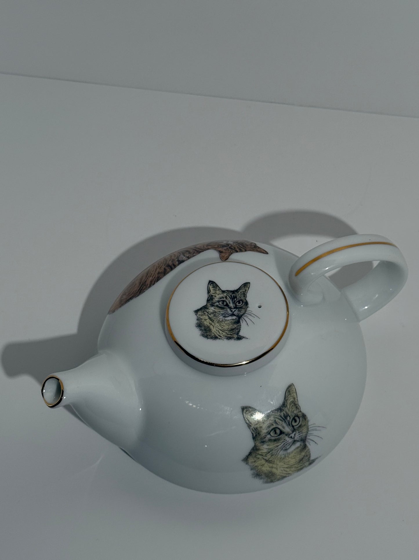 Cat Porcelain Tea + Cup Set
