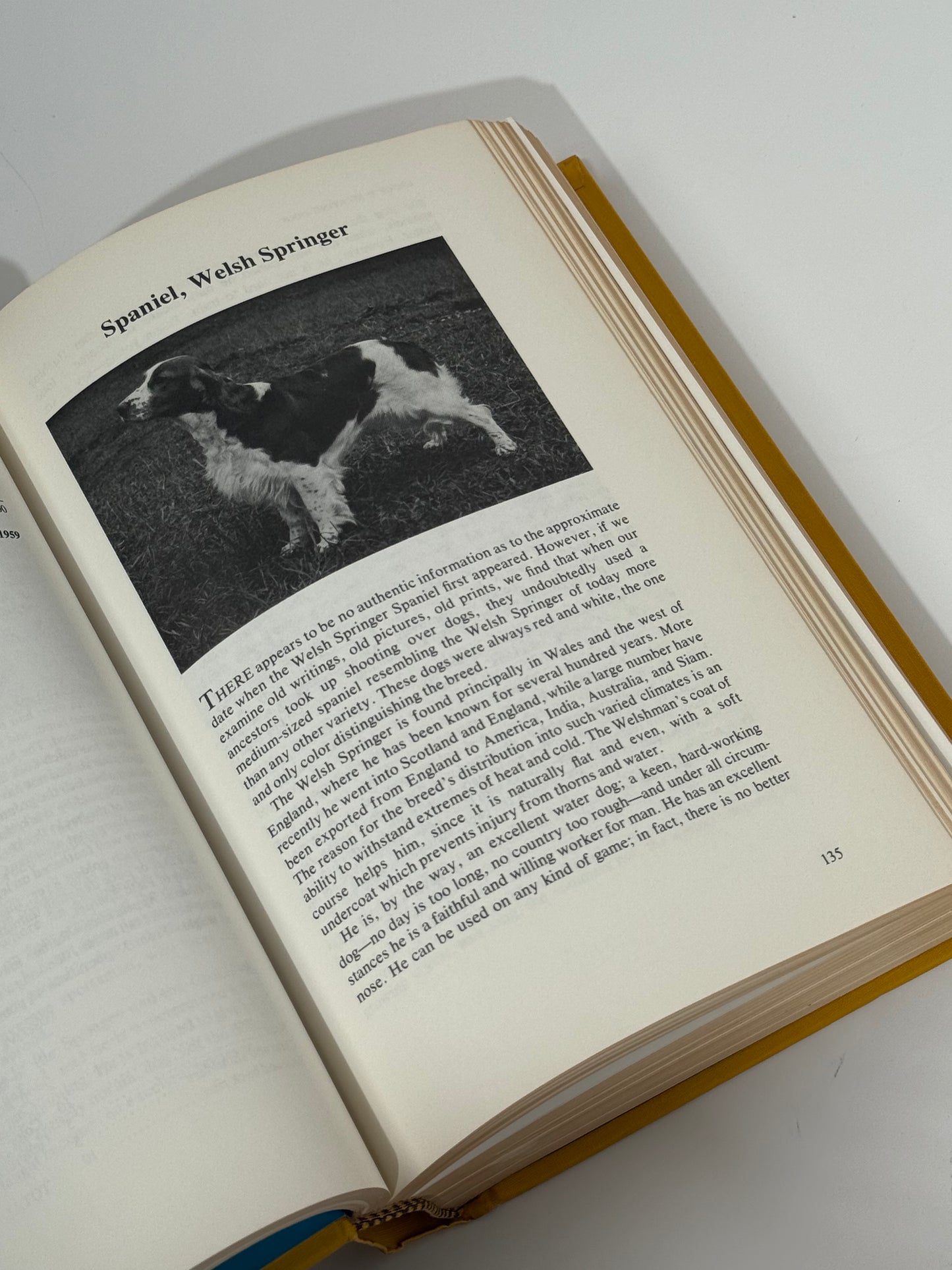 AKC The Complete Dog Book