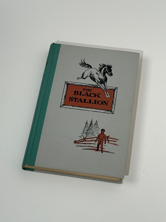 The Black Stallion