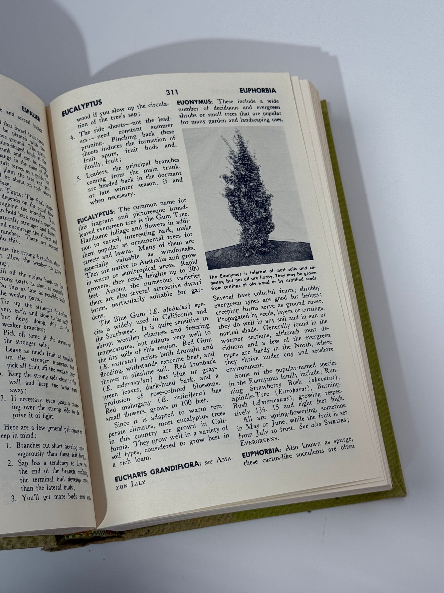 Encyclopedia of Organic Gardening