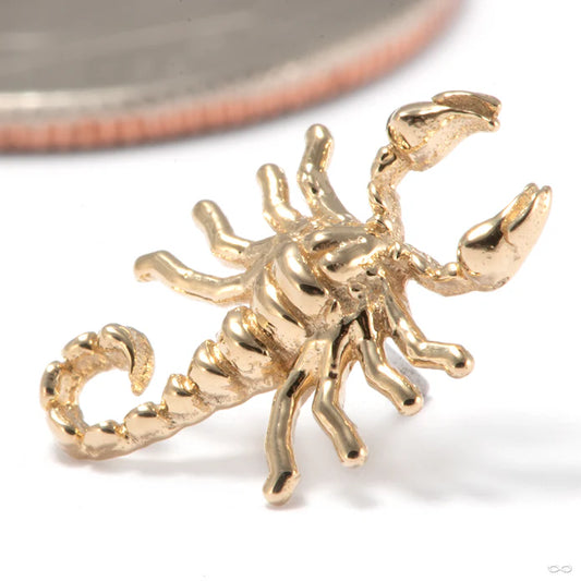 Tawapa Scorpion