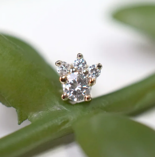 Modern Mood Leia Mini - Diamond